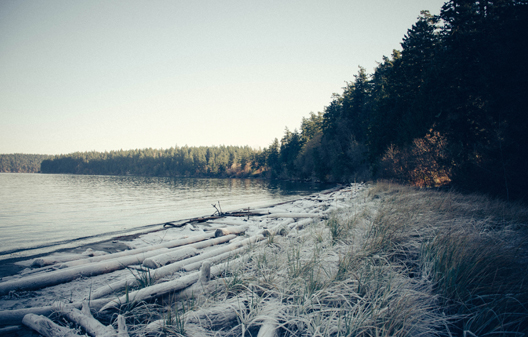 Orcas Island Beach