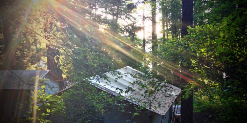 LEANTO Moran State Park Glamping