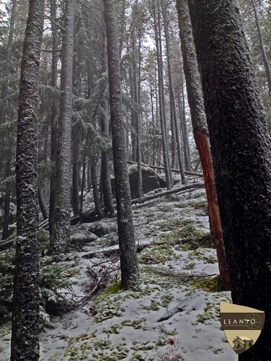 LEANTO Moran State Park Winter Hike