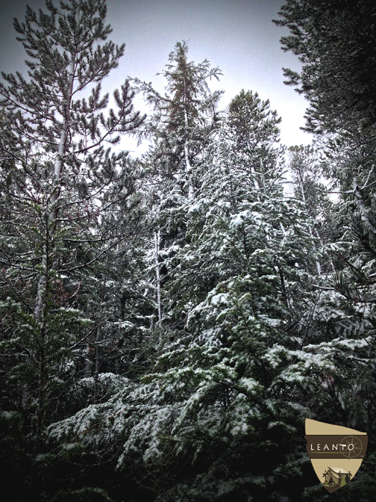 LEANTO Moran State Park Winter Hike