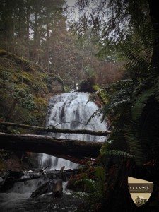 LEANTO Moran State Park Cascade Falls