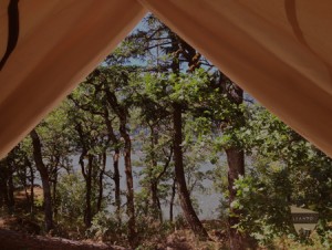 Hood River Oregon Glamping Tent
