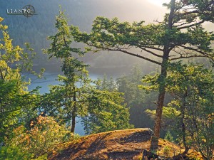 LEANTO Moran State Park Sunrise Rock