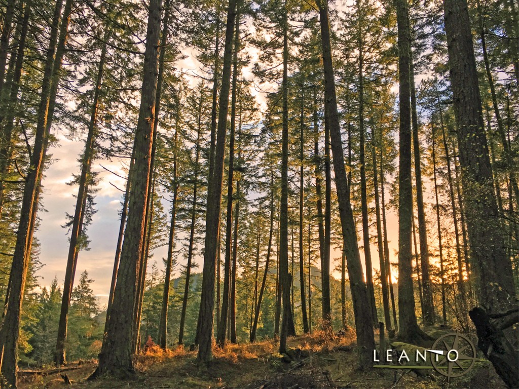 LEANTO Moran State Park Glamping Luxury Camping Orcas Island