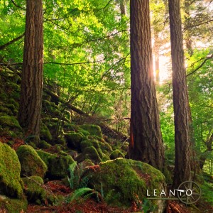 LEANTO Washington State Glamping in the San Juan Islands