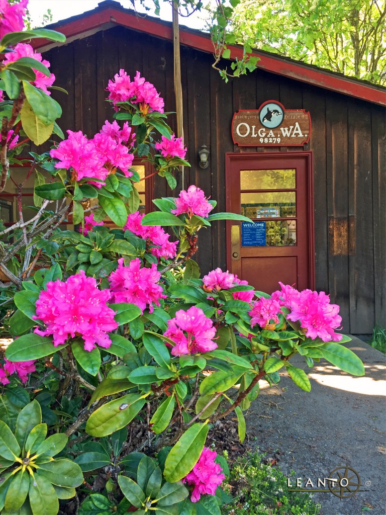 LEANTO Orcas Island Vendors