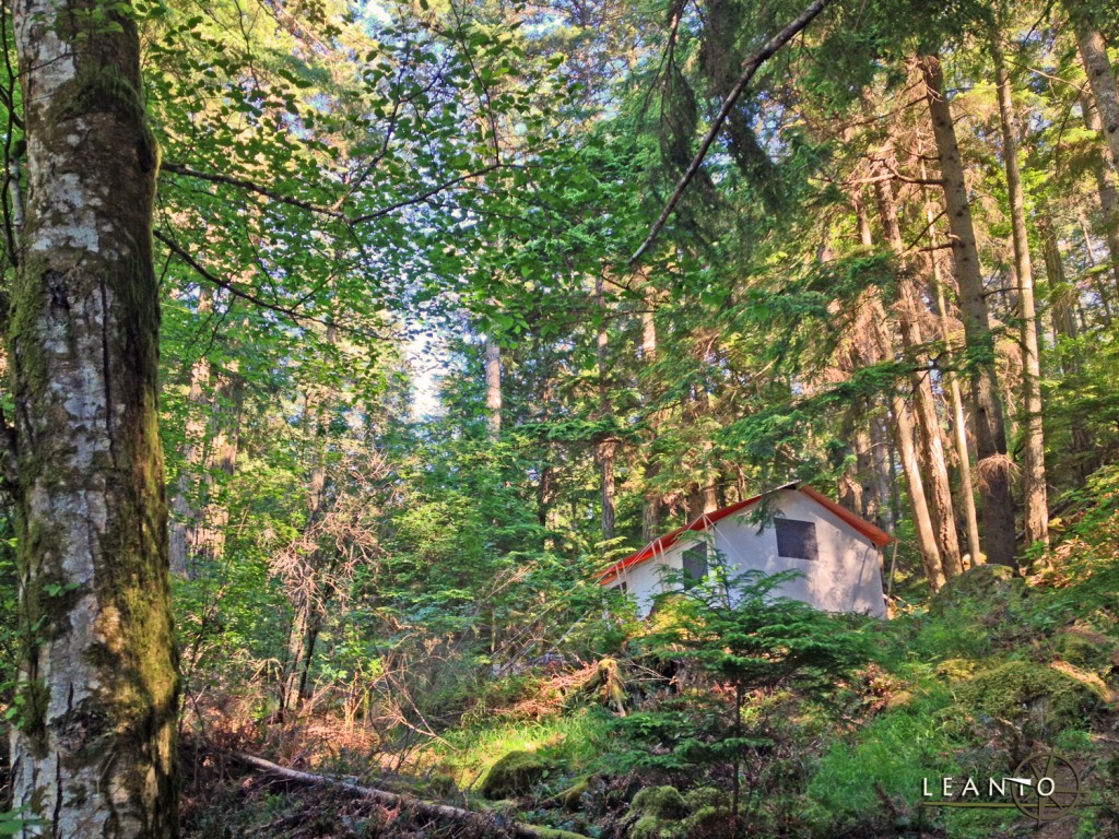 LEANTO Moran State Park Glamping San Juan Islands Glamping