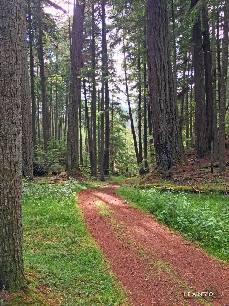 LEANTO Moran State Park Hiking Trail