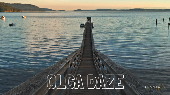 LEANTO Olga Daze 2018