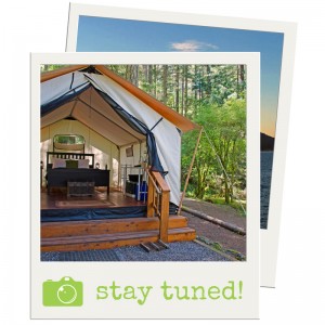 LEANTO Glamping Photo Contest