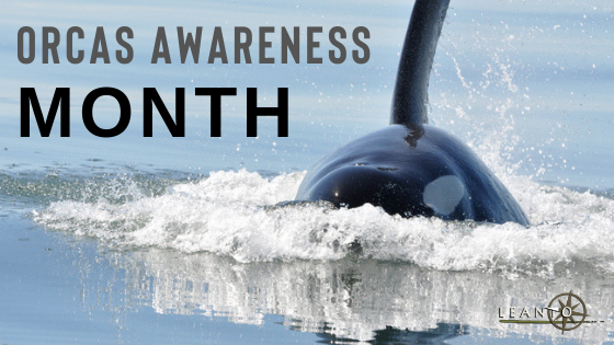 Orca Awareness Month LEANTO
