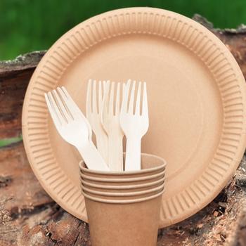 Paper Dish Kit LEANTO Moran State Park Camping